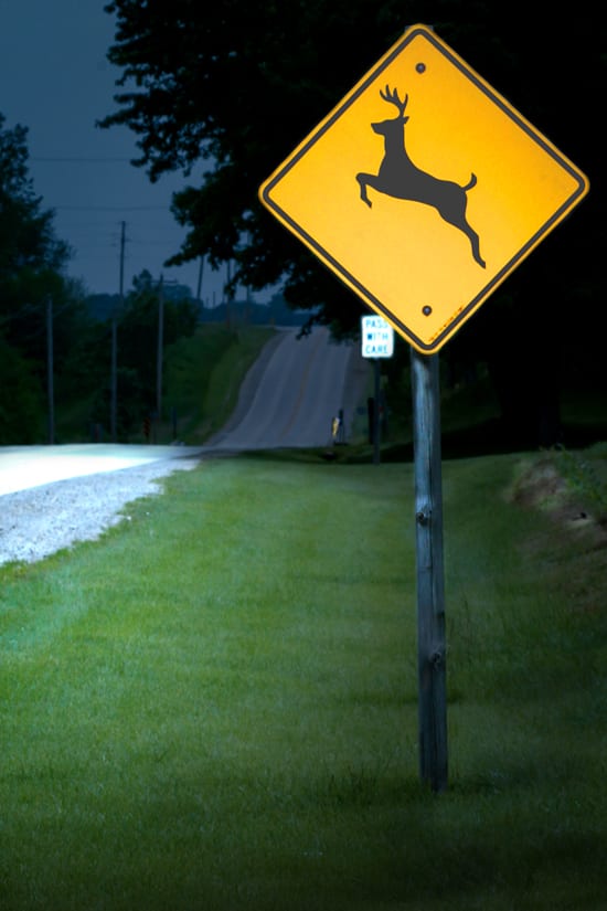 Deer Crossing Sign