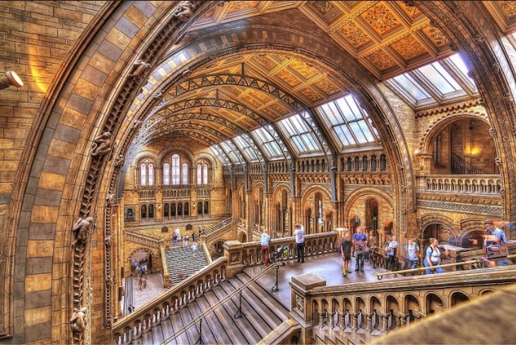 Natural History Museum Atrium