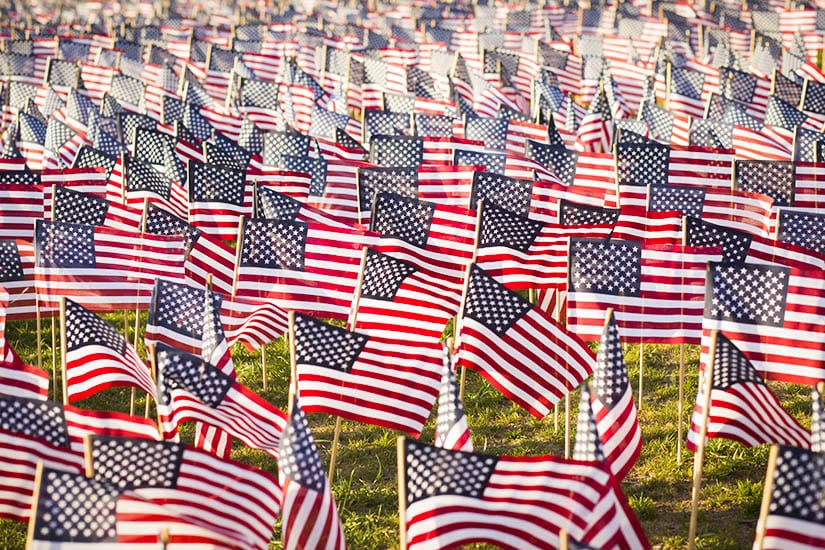 Field of american flags
